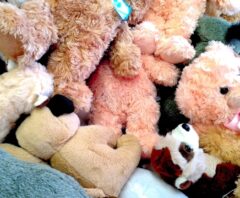 大量のぬいぐるみの処分を考えている人が撮影した画像