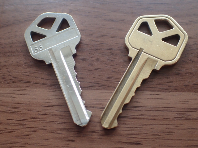 ピンタンブラーキー