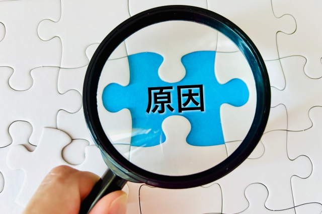 パイプユニッシュが効かない原因