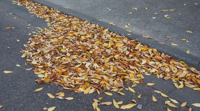 落ち葉の吹き溜まりが起きる原因