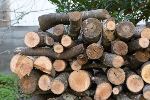 切り口が見える状態で重ねられた伐採後の丸太