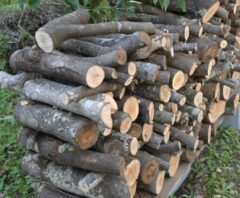 伐採後に短く切り分けられ、積み上げられた庭木の幹