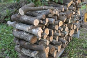 伐採後に短く切り分けられ、積み上げられた庭木の幹