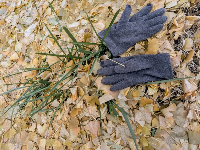 手袋を着用して落ち葉と枯れ草を手作業で集めている様子