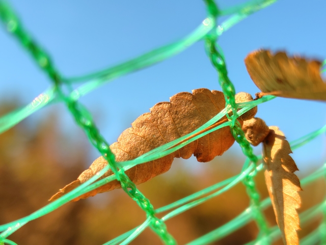 落ち葉の吹き溜まりを防ぐ予防対策