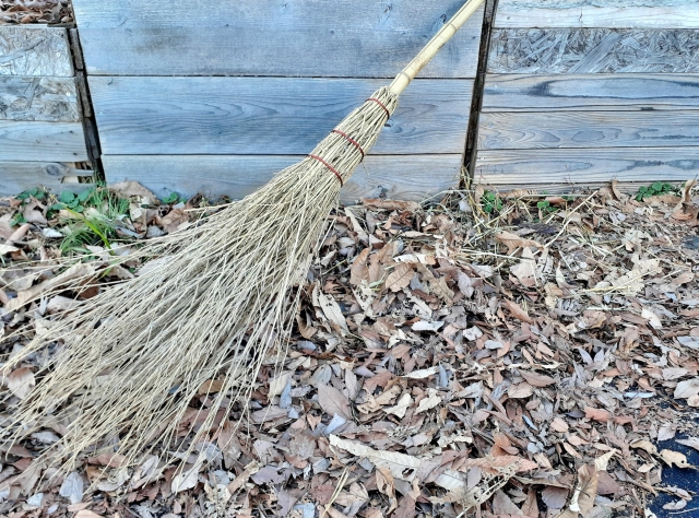 庭に溜まった落ち葉をほうきで掃き集めている様子