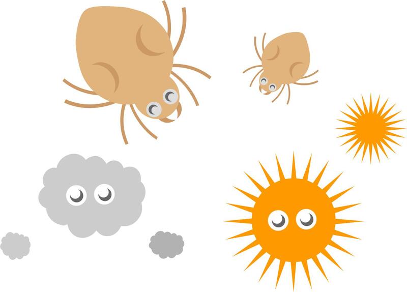 マダニに似た虫の見分け方がつかない