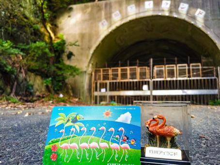 激レア・プレミアになるテレフォンカードの特徴