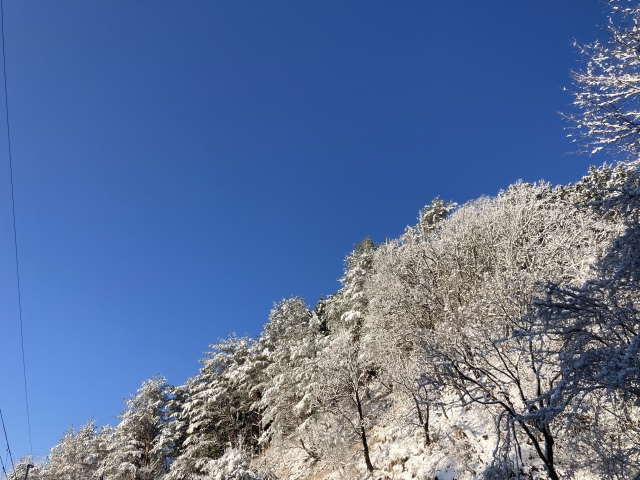 ゴキブリ対策も必要な冬