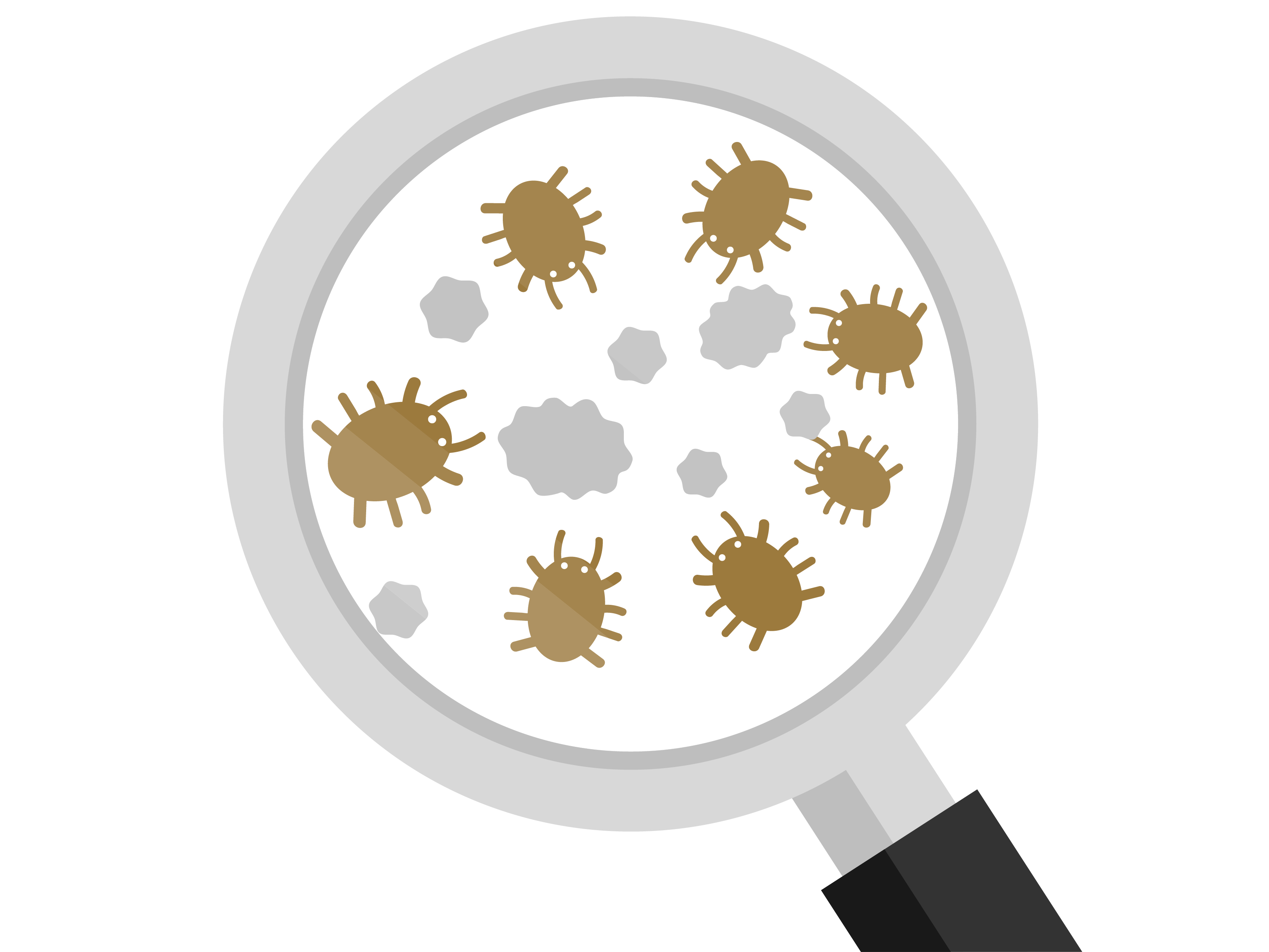 ビーズクッション内のダニのイメージ