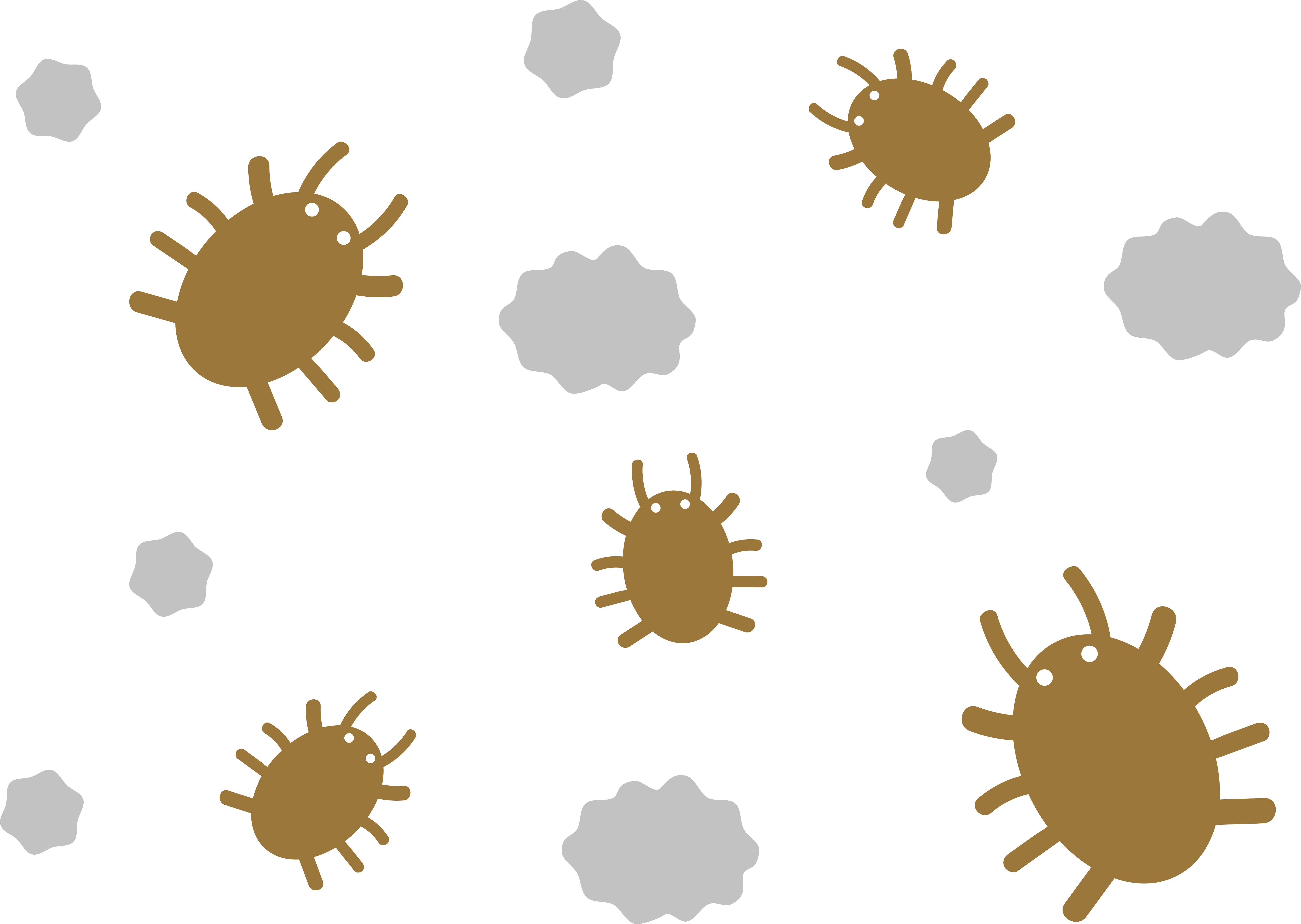 ドライヤーで退治する予定のダニ