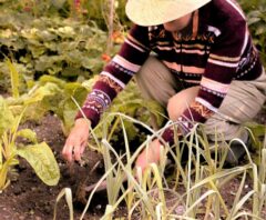 庭に落ちた紅葉とほうき・ちりとり