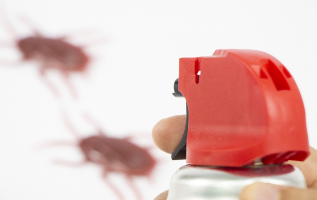 冬にゴキブリ駆除対策中の人の手