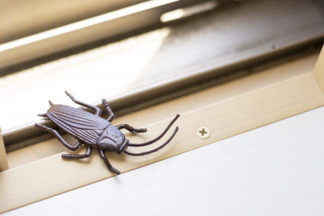 ダスキンでは駆除効果がなく入ってきたゴキブリ