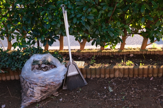 庭掃除で集めた落ち葉とほうき・ちりとり