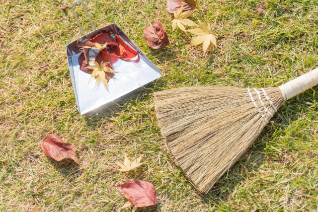 芝生で草取りをする手元の様子