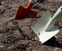 土の庭をどうにかしたいときの改善アイディア6選！特徴・デメリット・費用相場を徹底解説