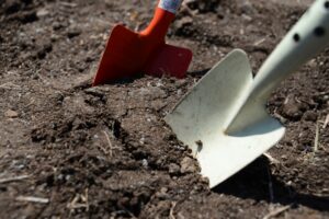 土の庭をどうにかしたいときの改善アイディア6選！特徴・デメリット・費用相場を徹底解説