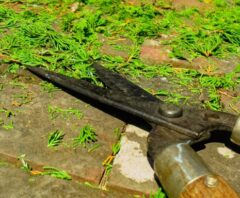 はなまる造園の口コミ・評判