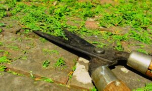 はなまる造園の口コミ・評判