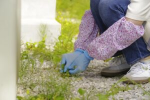 庭の砂利スペースで手作業で草むしりをしている様子