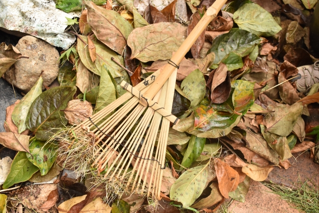 落ち葉を集めるための熊手と庭の掃除風景