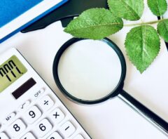 特殊伐採の費用相場や見積もり金額を確認しているイメージ