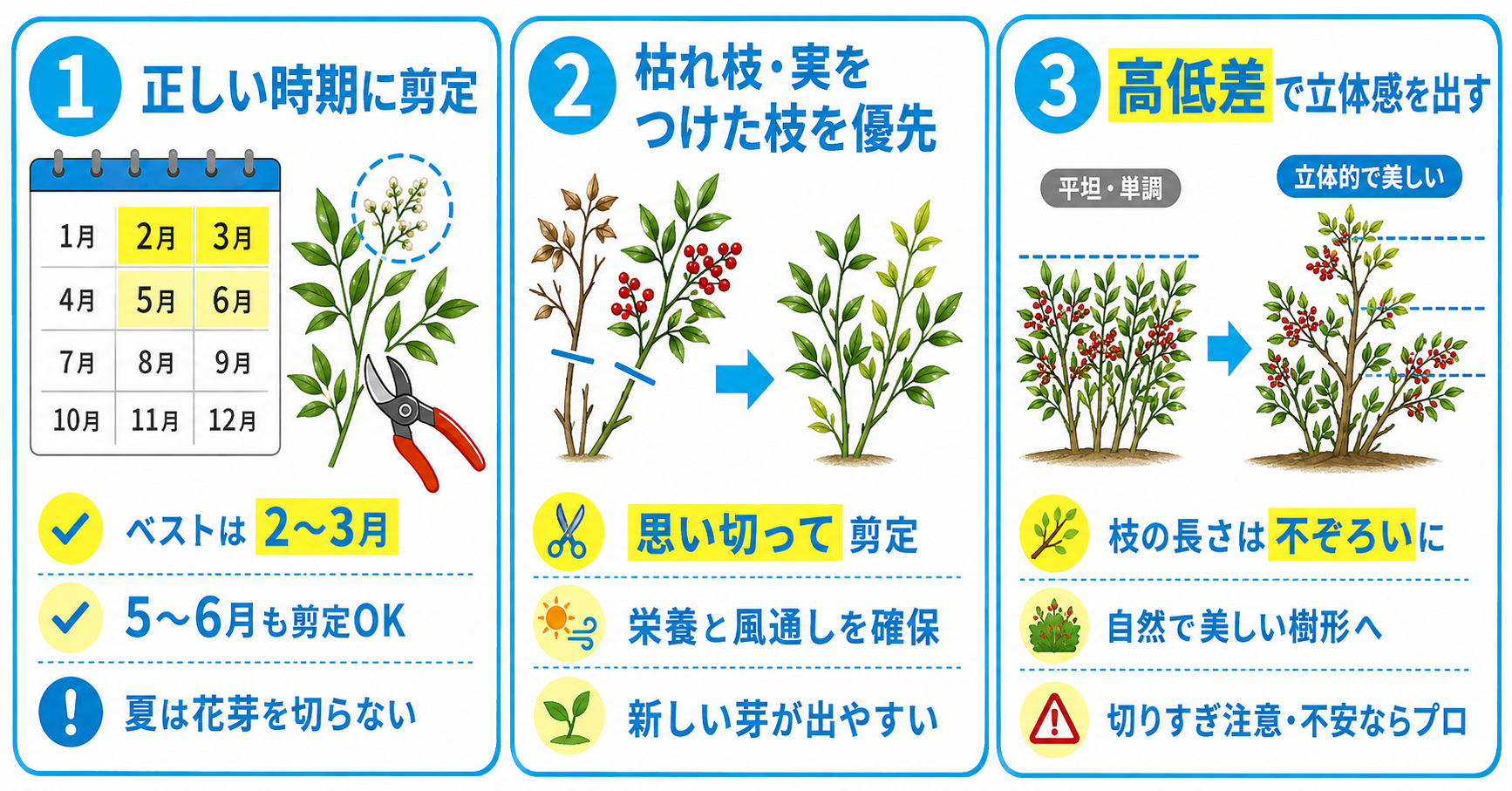 南天の剪定を成功させる3つのコツ