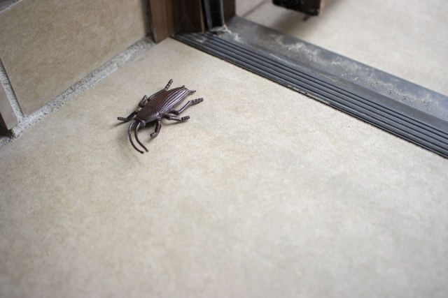 ゴキブリは冬こそ対策必須!寒くても出現する理由・効果を最大化する駆除方法を徹底解説