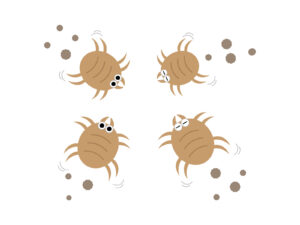 ビーズクッションで増殖しているダニ