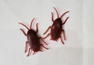 ダスキンでは駆除効果なしだったゴキブリ