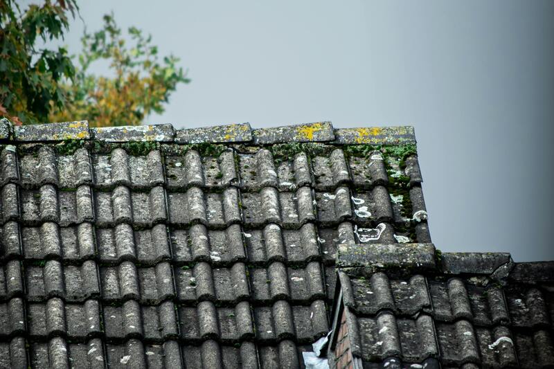 瓦屋根の修理業者を確認