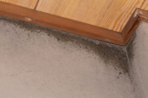 家中カビだらけ