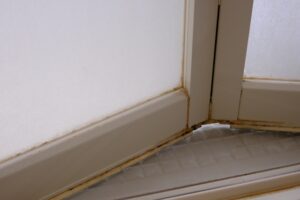 ゴムパッキンの黒カビ取り方法を徹底解説！自分でできる対処法からプロへの依頼の目安も