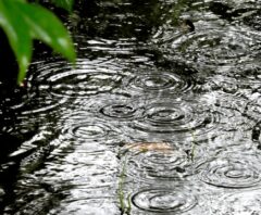 雨で庭の土が流れるときの対策5選！DIYでできる対策やプロに依頼すべき目安も
