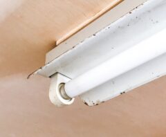 蛍光灯から音がする！故障？消せる？原因・対処法まとめ【ジー・パキなど異音別の分析も】