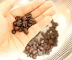 ネズミ対策のコーヒーかす