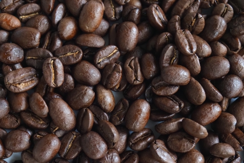 ネズミ対策のコーヒーかすを実施