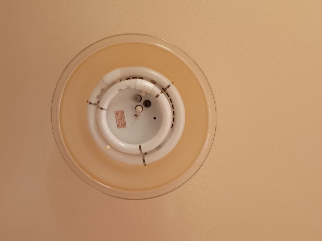 蛍光灯から音がするときに業者に相談すべきケース