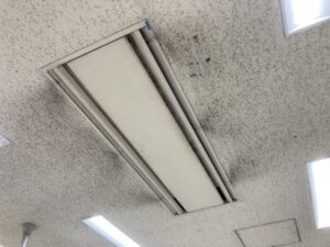 エアコンからネズミが落ちてきた