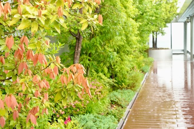 雨で庭の土が流れるのを防ぐための対策5選