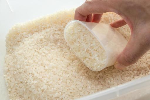 引っ越し時のお米の運び方ガイド|米びつのままで大丈夫?安全な梱包方法・注意点を解説