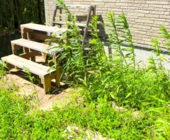 荒れた庭をどうにかしたい！片付け手順・業者に依頼すべき基準まで解説