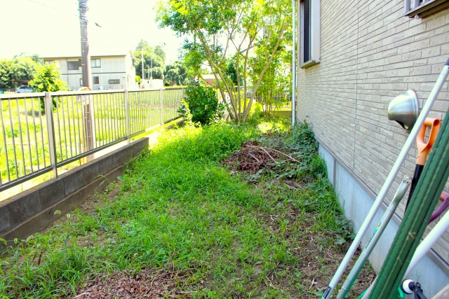 荒れた庭をどうにかしたいときの自分でできる対処法|5つの手順