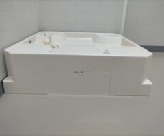 洗濯機下（防水パン）のヘドロ汚れ