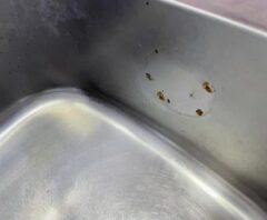 シンクのサビで退去費用が気になる人が撮影した画像