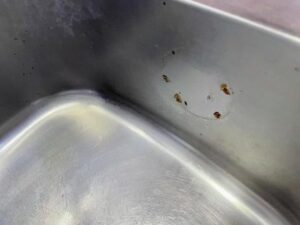シンクのサビで退去費用が気になる人が撮影した画像