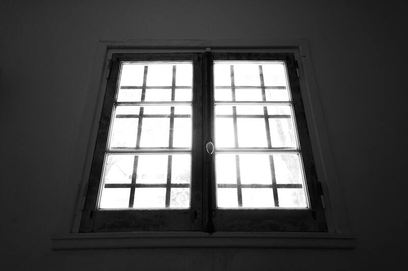 夜蜂が家に入ってきた