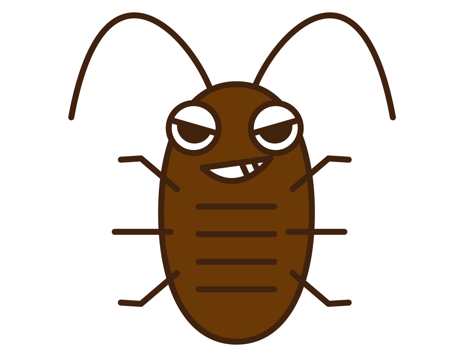 どの時期に出るかわからないゴキブリ
