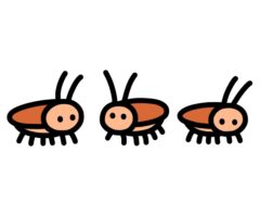 小さいゴキブリがどこから侵入してくるかチェック